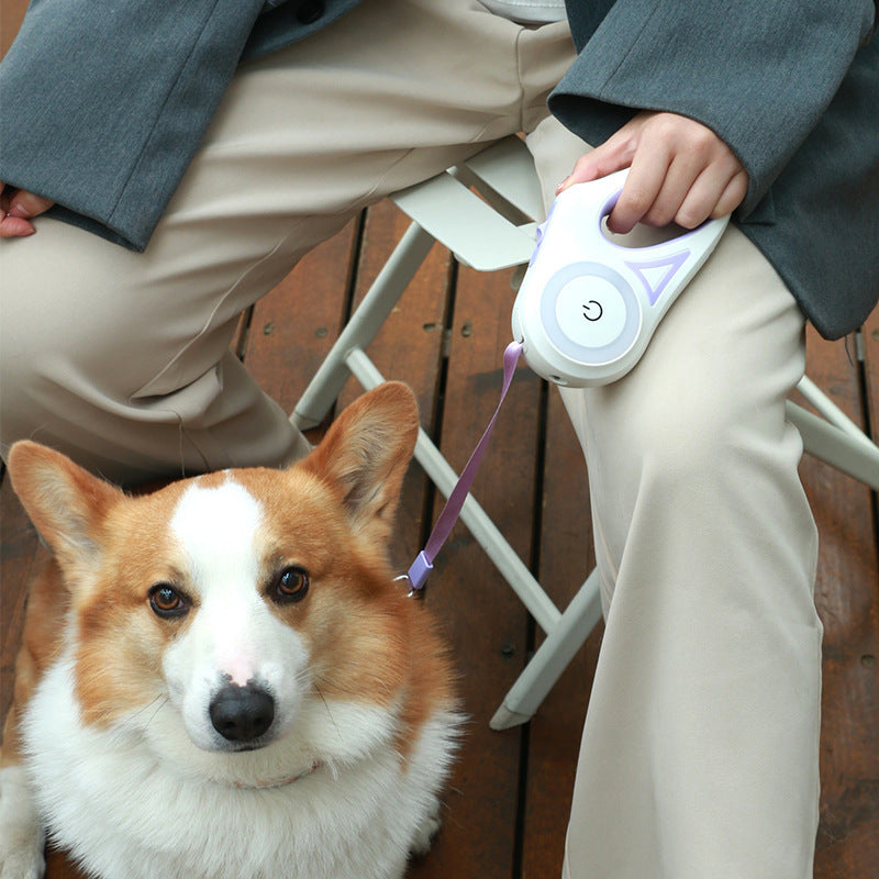 Dog Leash Retractable Leash And Dog Collar Spotligh
