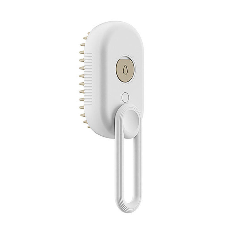 3 In 1 Electric Spray Steam Brush